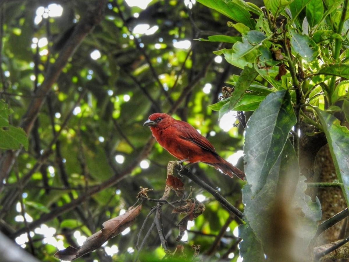Ecofinca سالنتو المظهر الخارجي الصورة