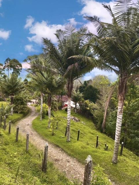Ecofinca سالنتو المظهر الخارجي الصورة