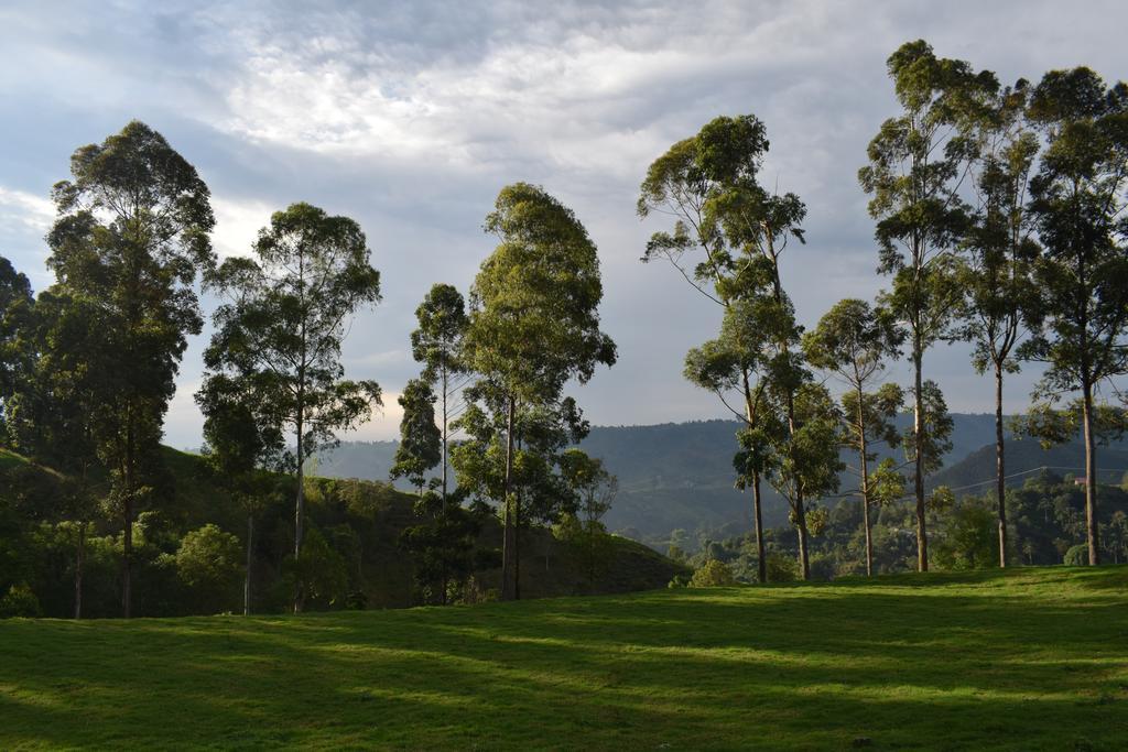 Ecofinca سالنتو المظهر الخارجي الصورة