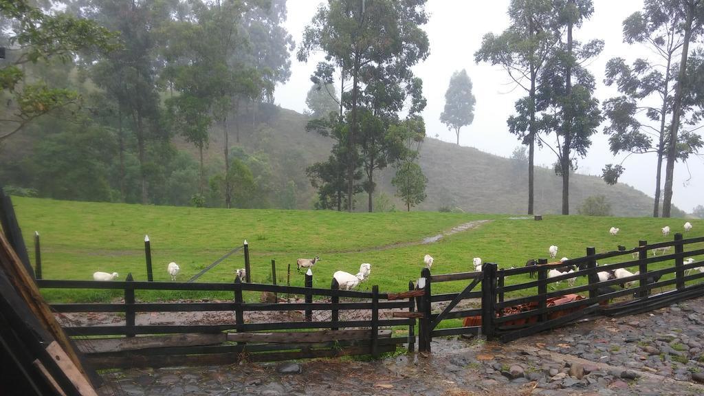 Ecofinca سالنتو المظهر الخارجي الصورة