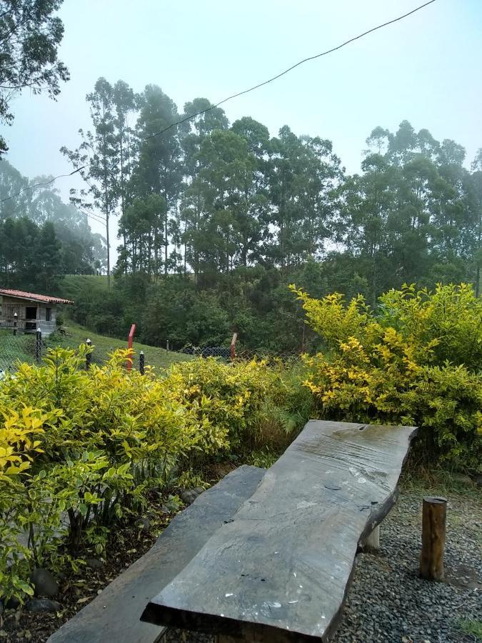 Ecofinca سالنتو المظهر الخارجي الصورة